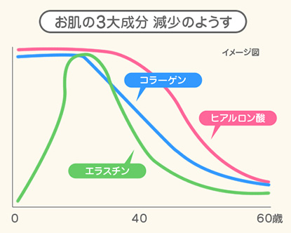 お肌の3大成分と生産工場