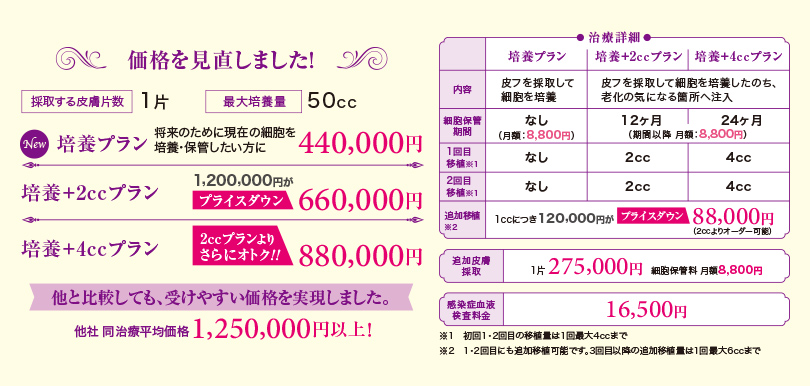 価格を見直しました！